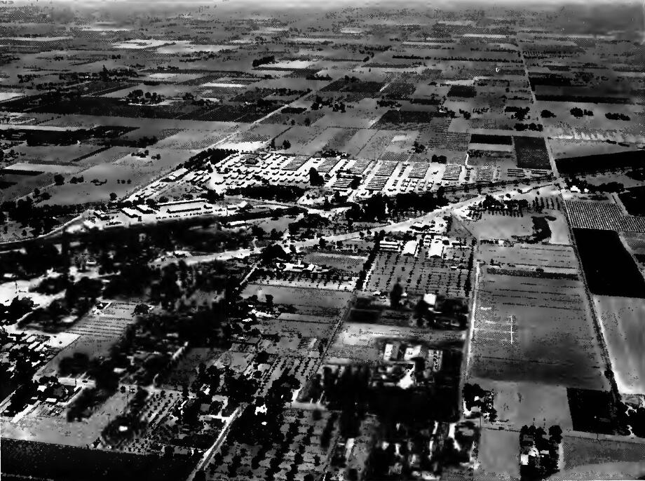 Turlock Rehabilitation Center Turlock Assembly Center Turlock Disciplinary Camp Turlock